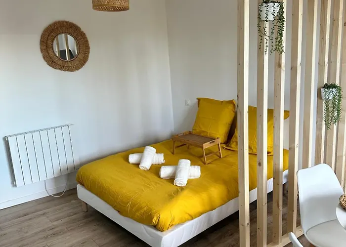 Cocon Chaleureux Studio Le Puy